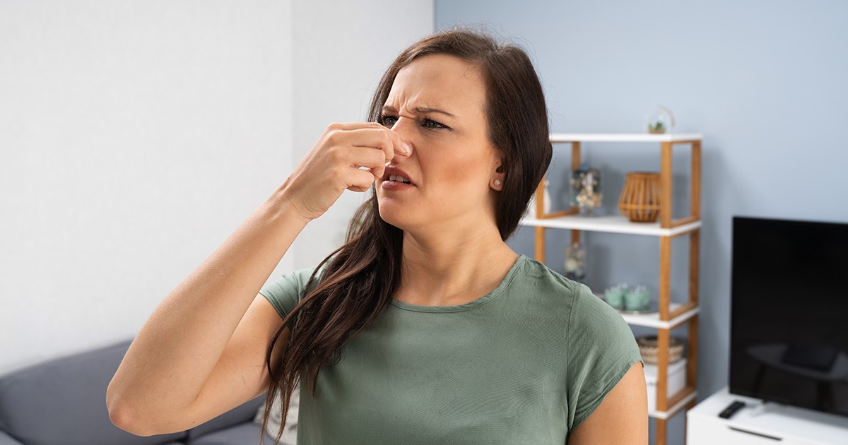 Come eliminare l’odore di muffa causato dall’umidità