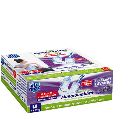 Ricarica Magnete Mangiaumidità Lavanda 450g